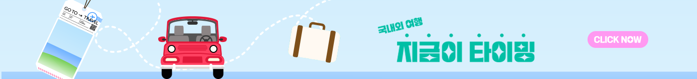 국내외 여행