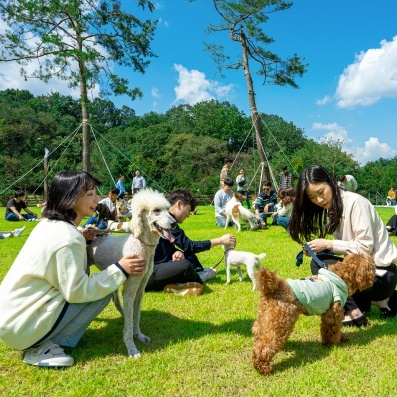 제품 이미지