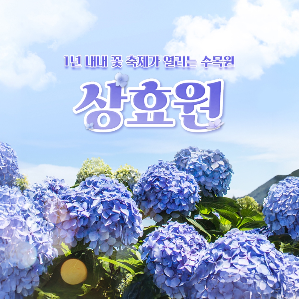 제품 이미지